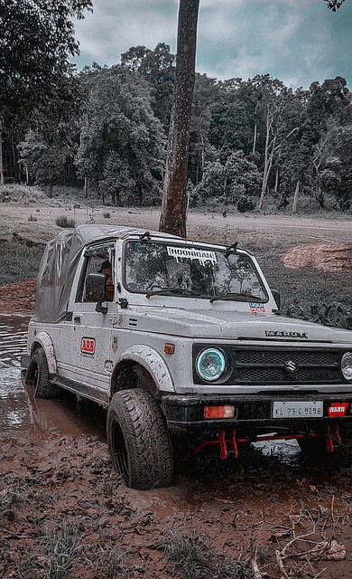 粒进球赏心 粒进球赏心