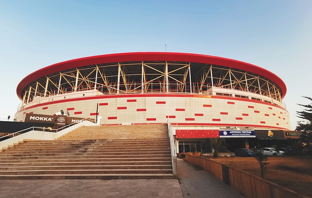 以其出色的 以其出色的