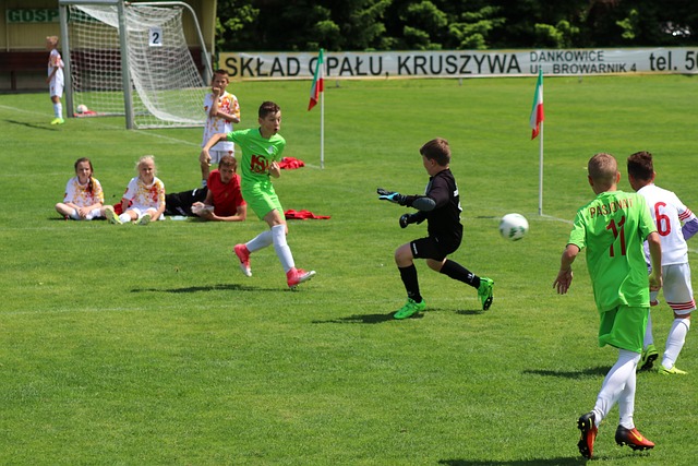 體育賽事的 體育賽事的