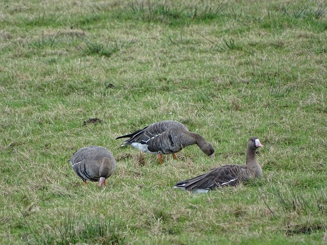 队管理层的 队管理层的
