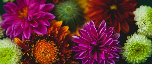 人瞩目的选 人瞩目的选