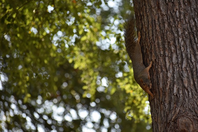 关系的宏观 关系的宏观
